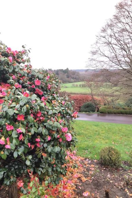 Modern Country Villa, Stunning Gardens And View Royal Tunbridge Wells Exteriér fotografie